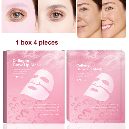 Segmented Facial Sheet Mask - Collagen Glow Up Mask